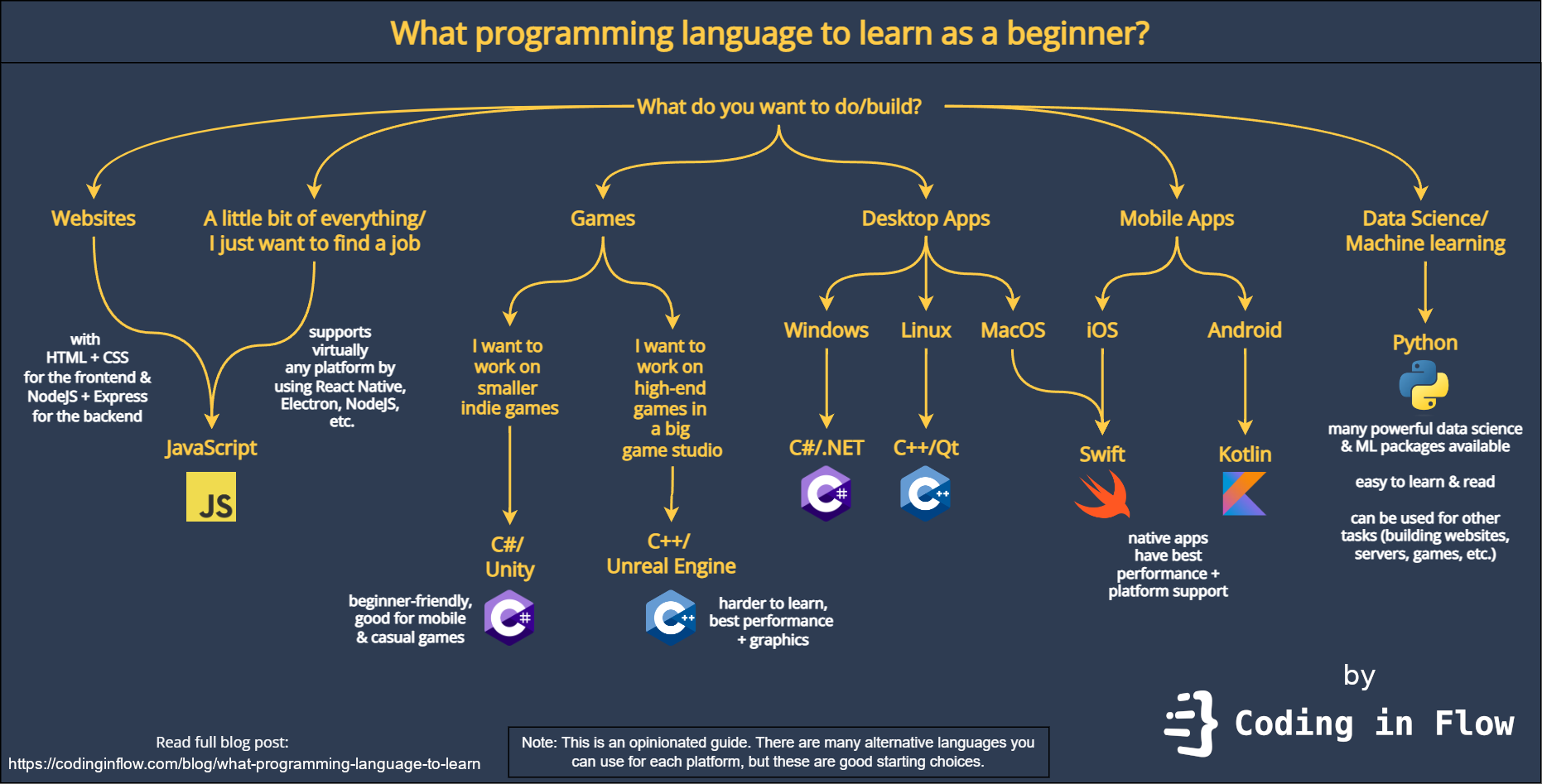 What programming language to learn infographic
